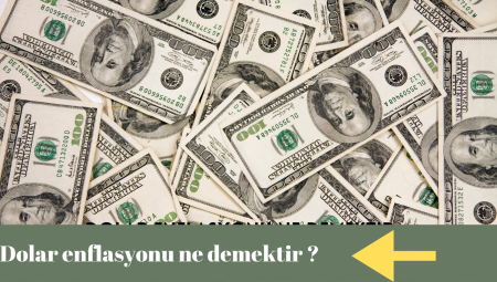 En basit anlatımıyla dolar enflasyonu ne demektir ?